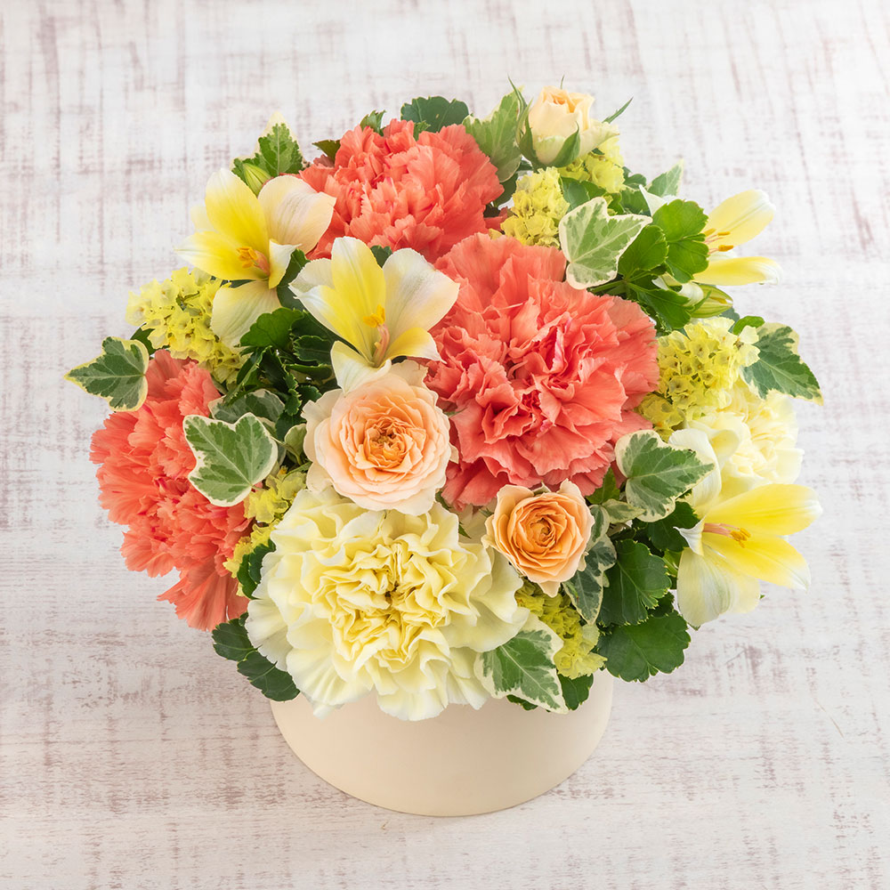 アレンジメント「Warm Wishes」