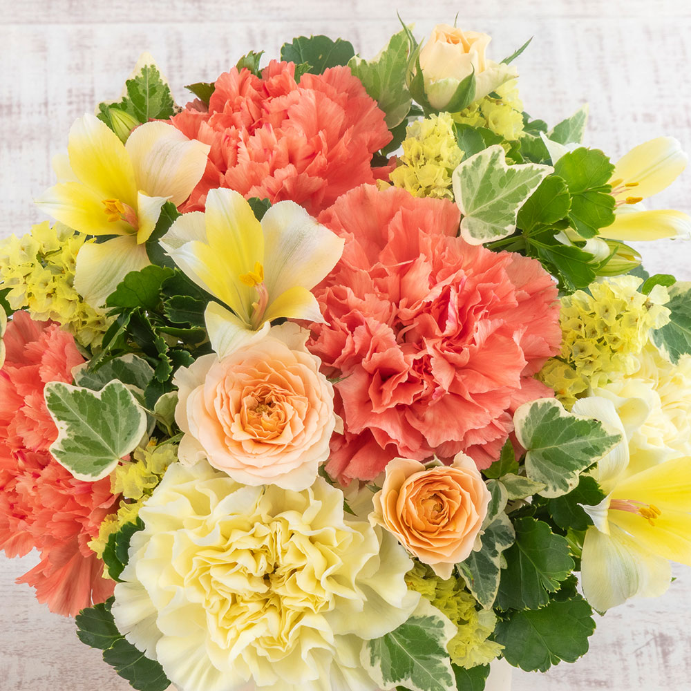 アレンジメント「Warm Wishes」