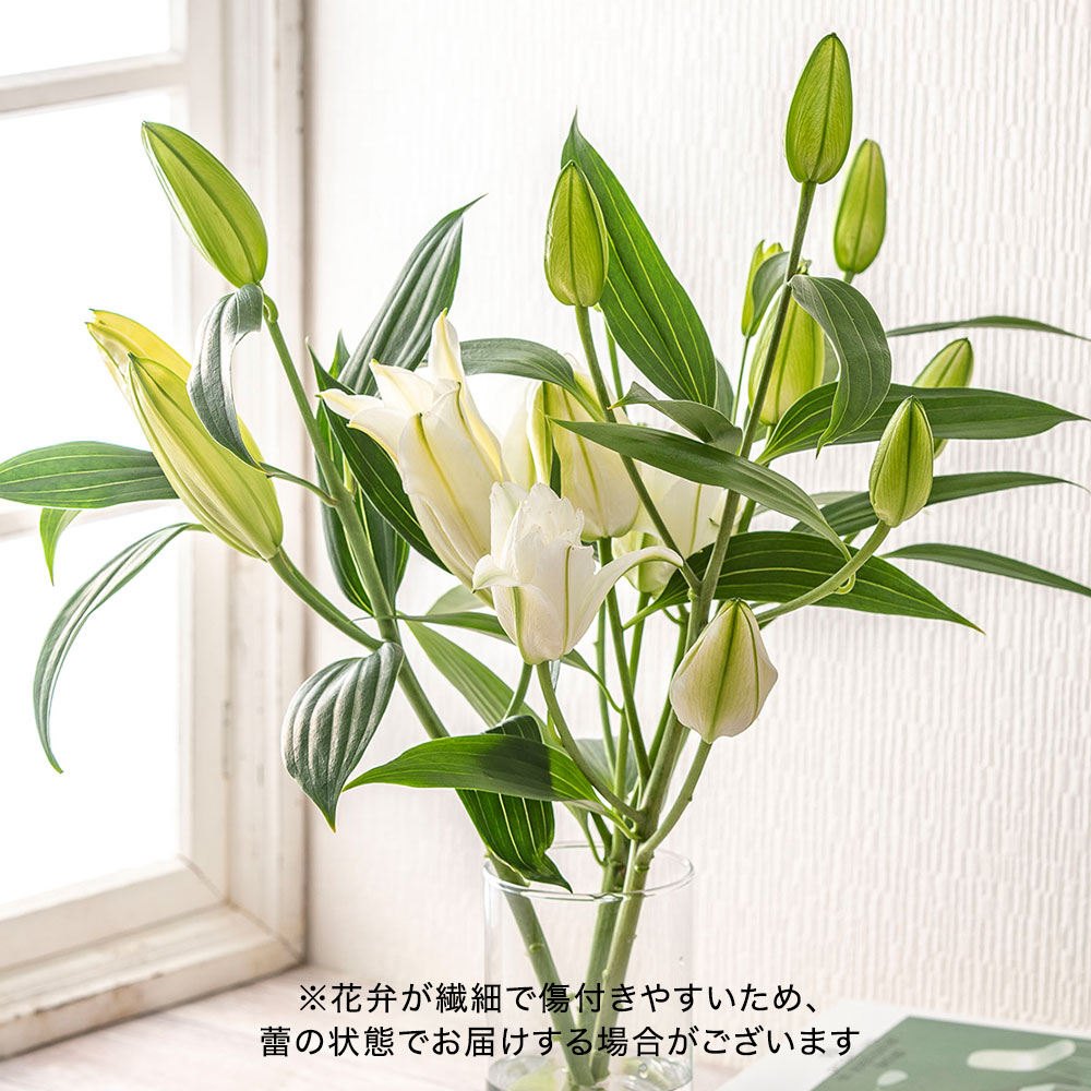 【厳選お花便】栃木県宇都宮市「F.F HIRAIDE（エフ・エフ・ヒライデ）」のユリ