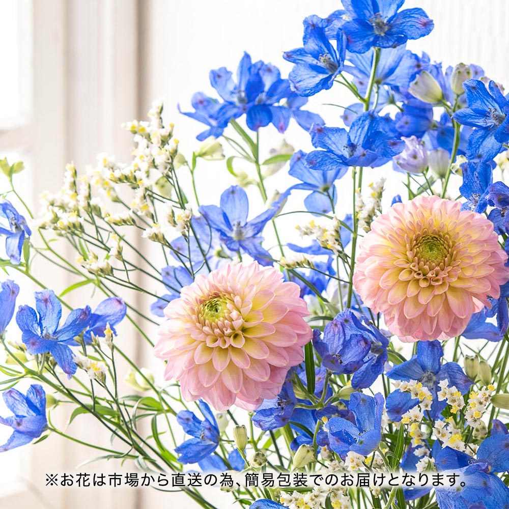 【厳選お花便】栃木県日光市「日光園藝」のデルフィニウムお任せMIX