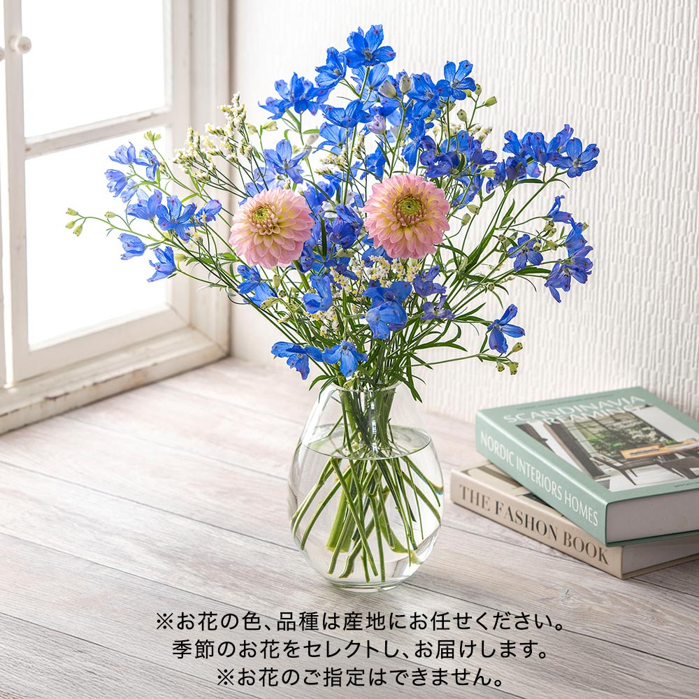 【厳選お花便】栃木県日光市「日光園藝」のデルフィニウムお任せMIX