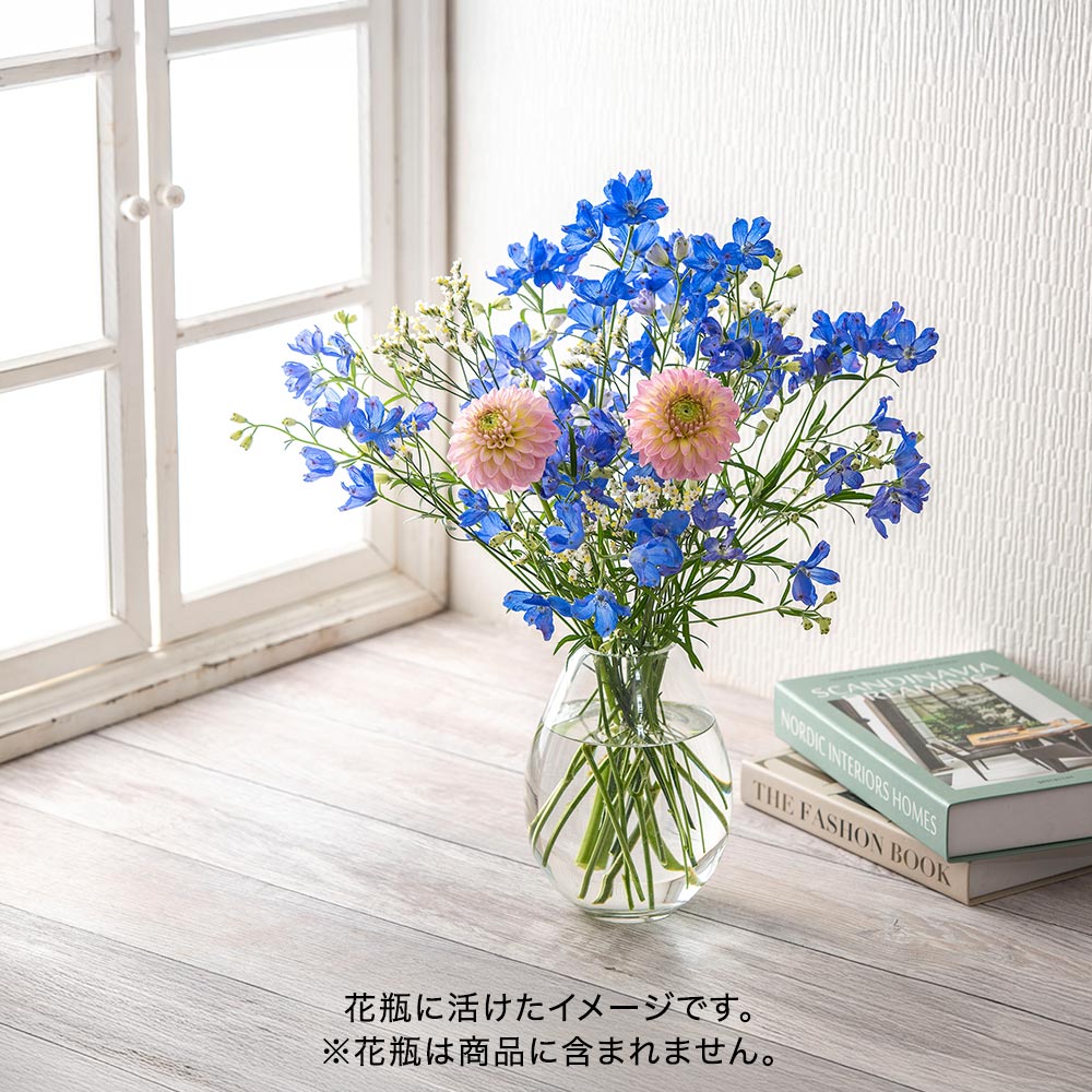 【厳選お花便】栃木県日光市「日光園藝」のデルフィニウムお任せMIX