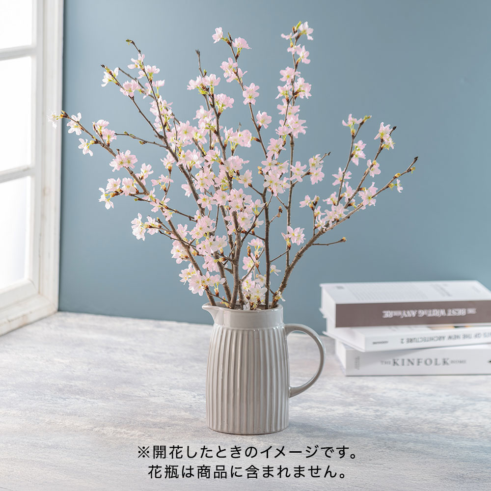 【バイヤー厳選】山形県西川町産｢啓翁桜｣