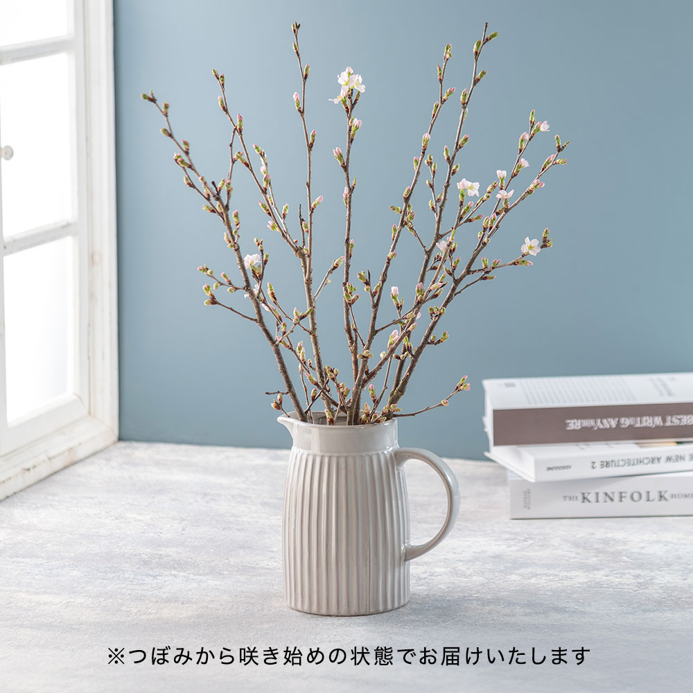 【バイヤー厳選】山形県西川町産｢啓翁桜｣