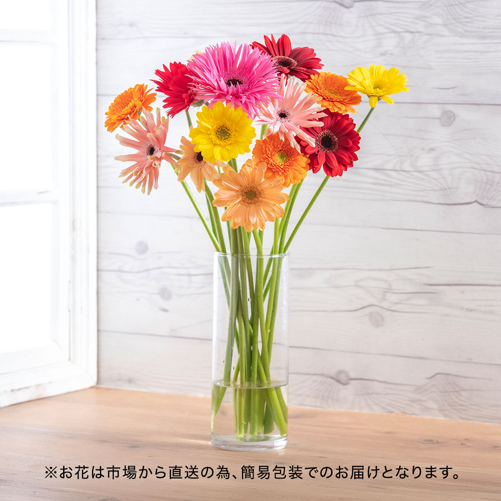 【期間限定】愛知県田原市「TOKIYA GERBERA」ガーベラお任せミックス