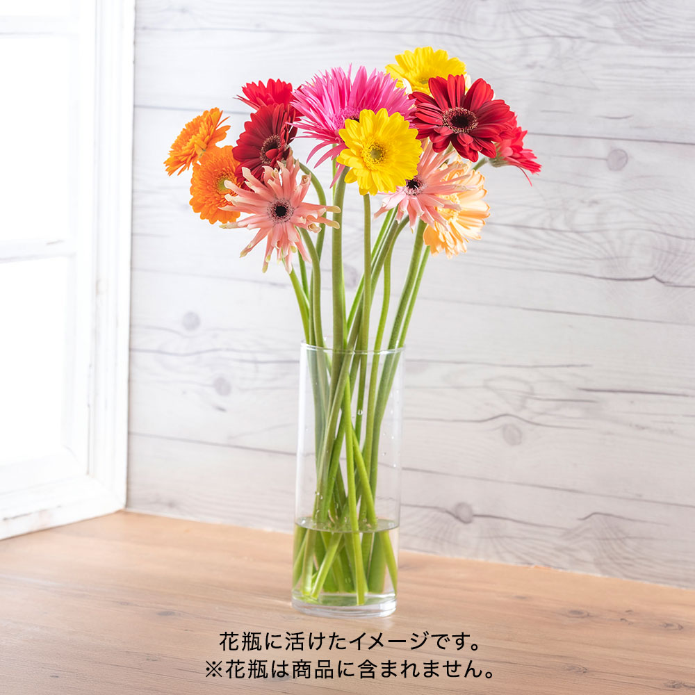 【期間限定】愛知県田原市「TOKIYA GERBERA」ガーベラお任せミックス