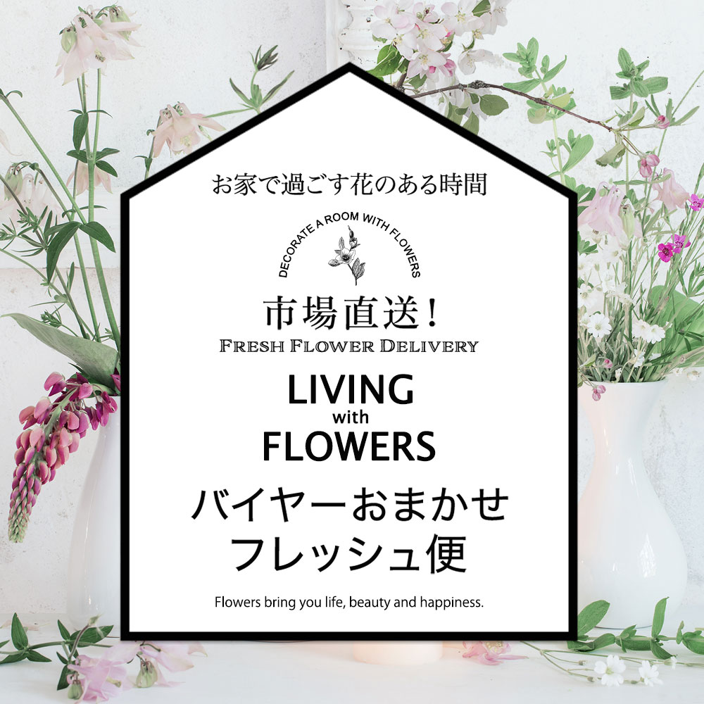 【バイヤー厳選】お供えのお花おまかせミックス