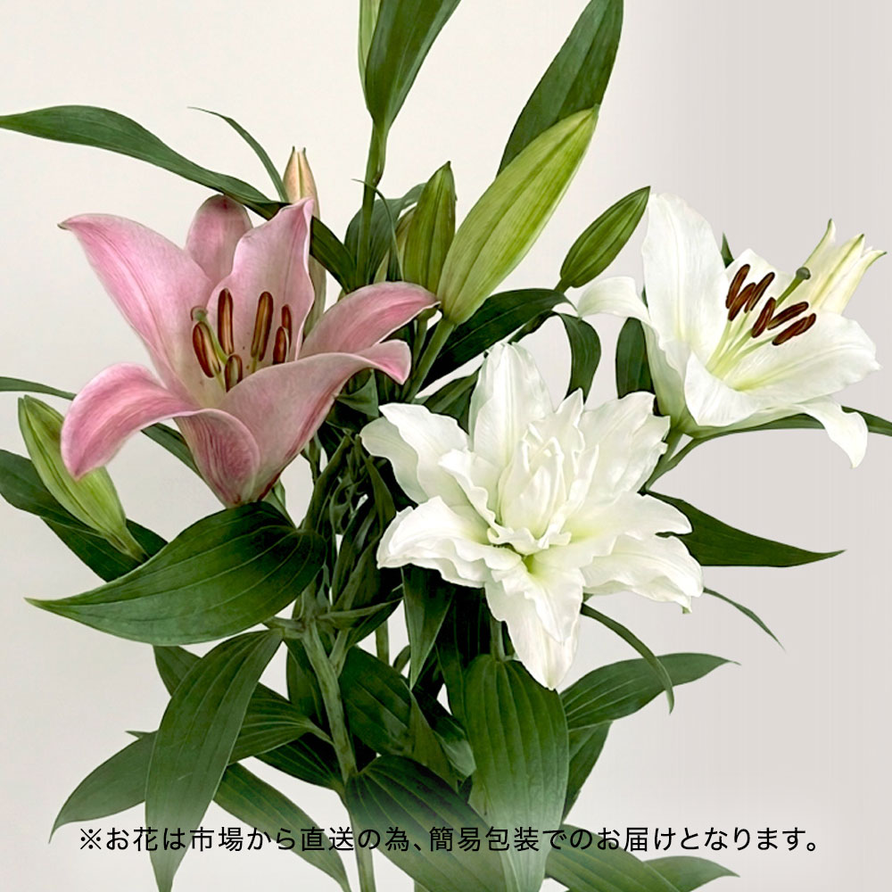 【厳選お花便】栃木県宇都宮市「F.F HIRAIDE（エフ・エフ・ヒライデ）」のユリ
