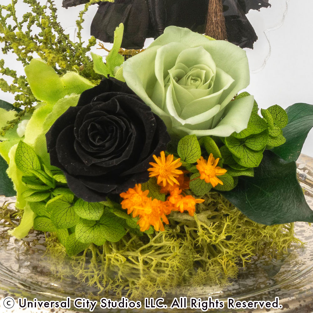 ウィキッド プリザーブド＆アーティフィシャルアレンジメント「エルファバ」