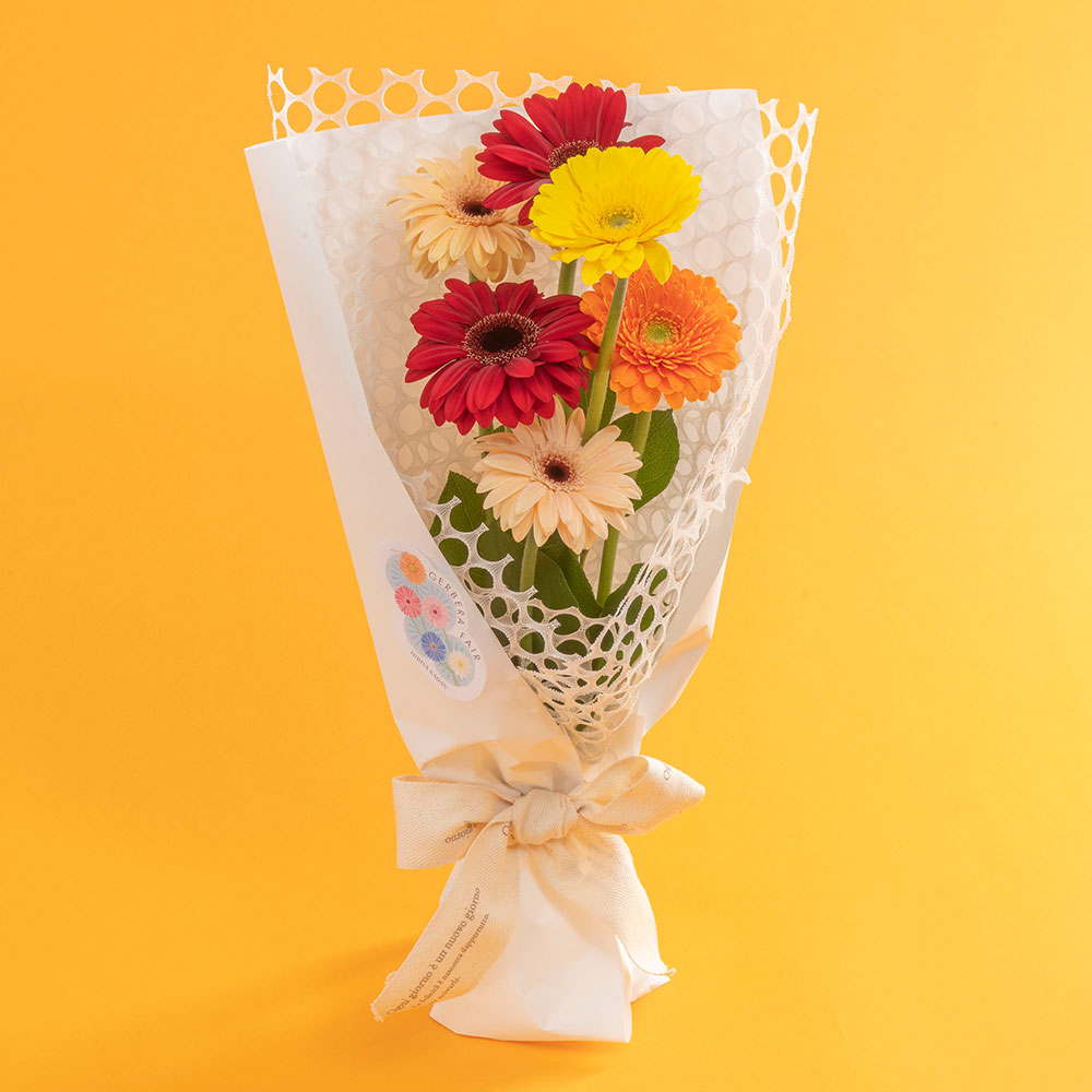 【期間限定】花束「ガーベラ・メゾン」