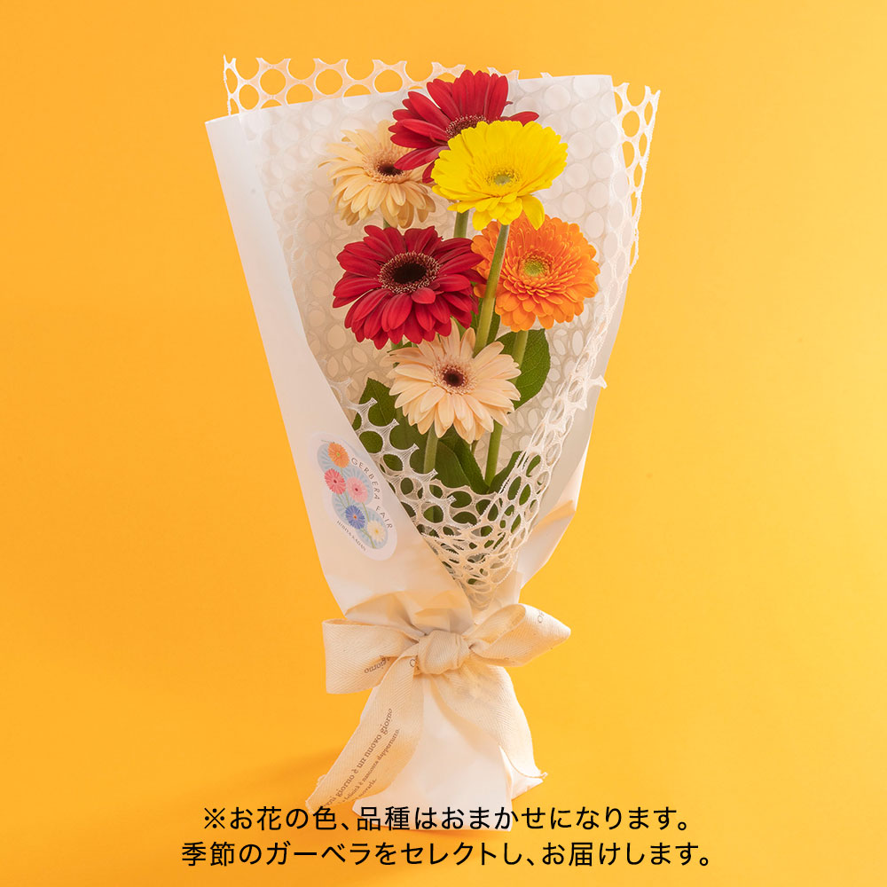 【期間限定】花束「ガーベラ・メゾン」