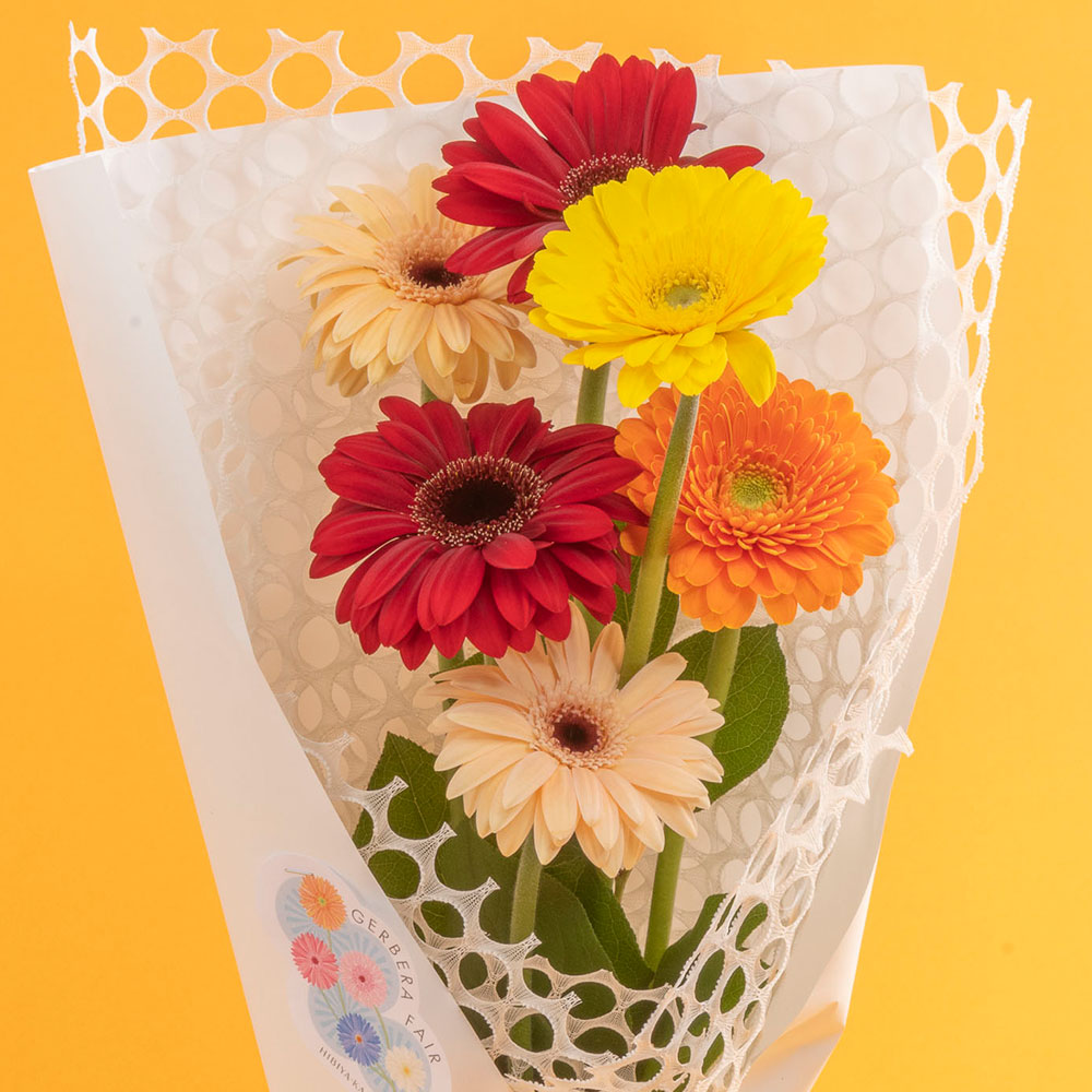 【期間限定】花束「ガーベラ・メゾン」