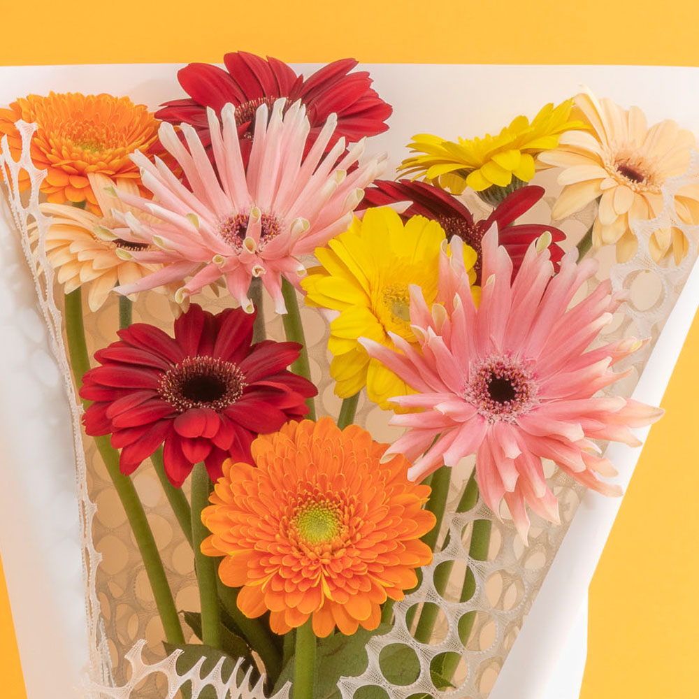 【期間限定】花束「ガーベラ・グラン」