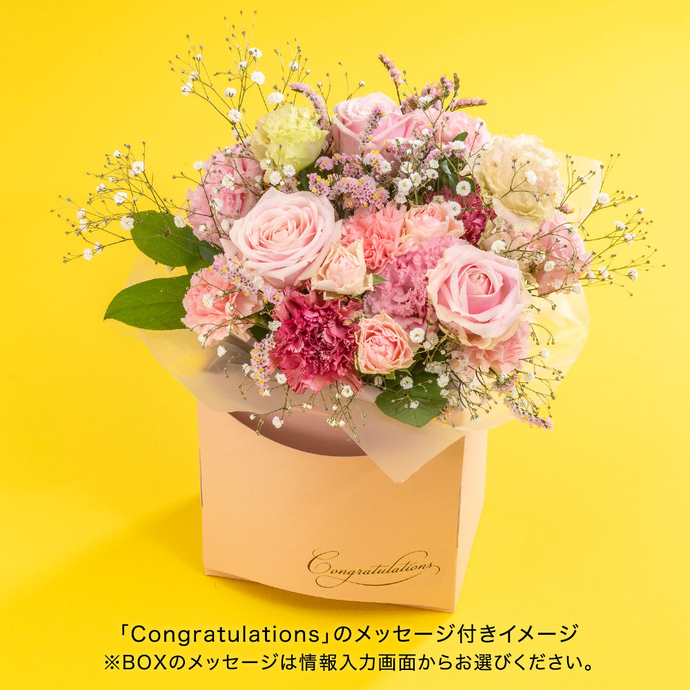 パピエベース「ピンク・L」