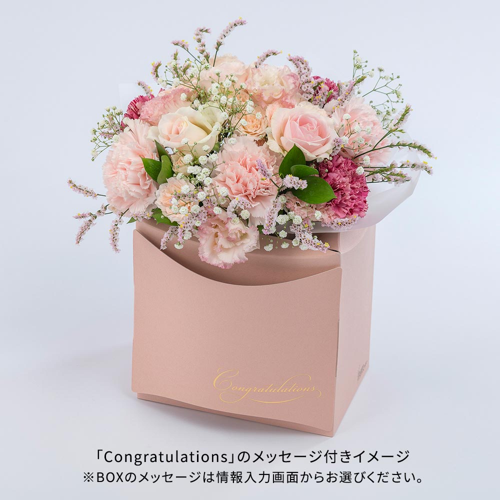 パピエベース「ピンク・L」