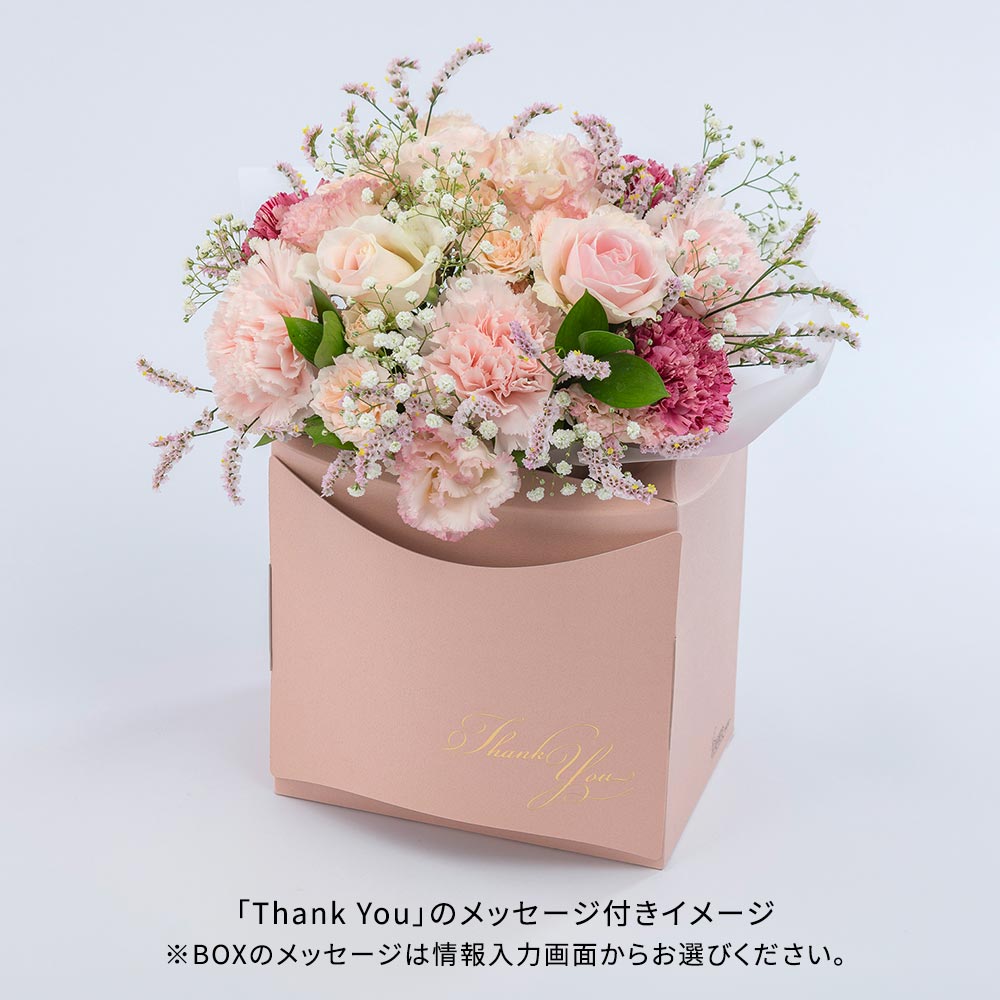 パピエベース「ピンク・L」