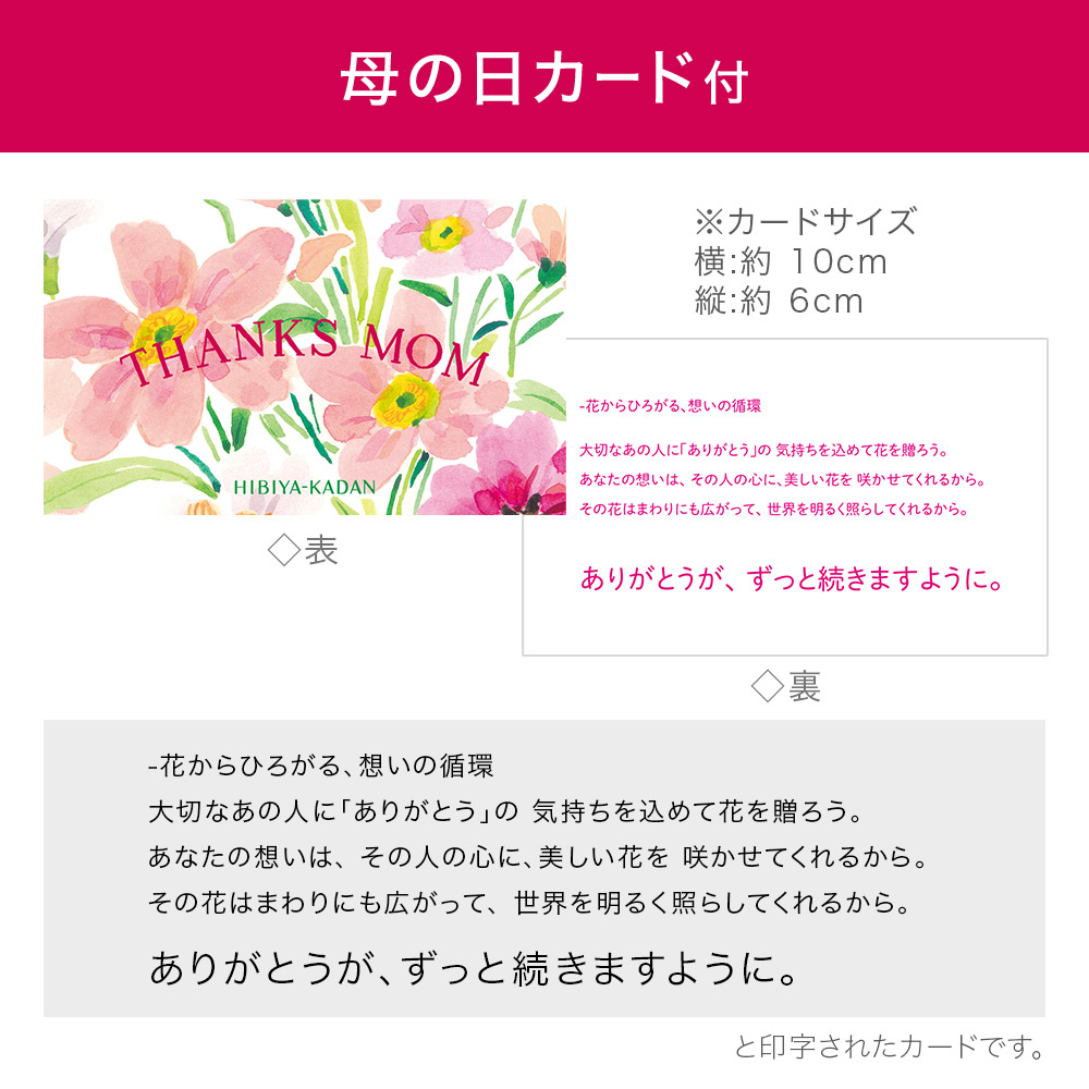 【5月12～14日お届け】母の日　パピエベース「ピンク・M」