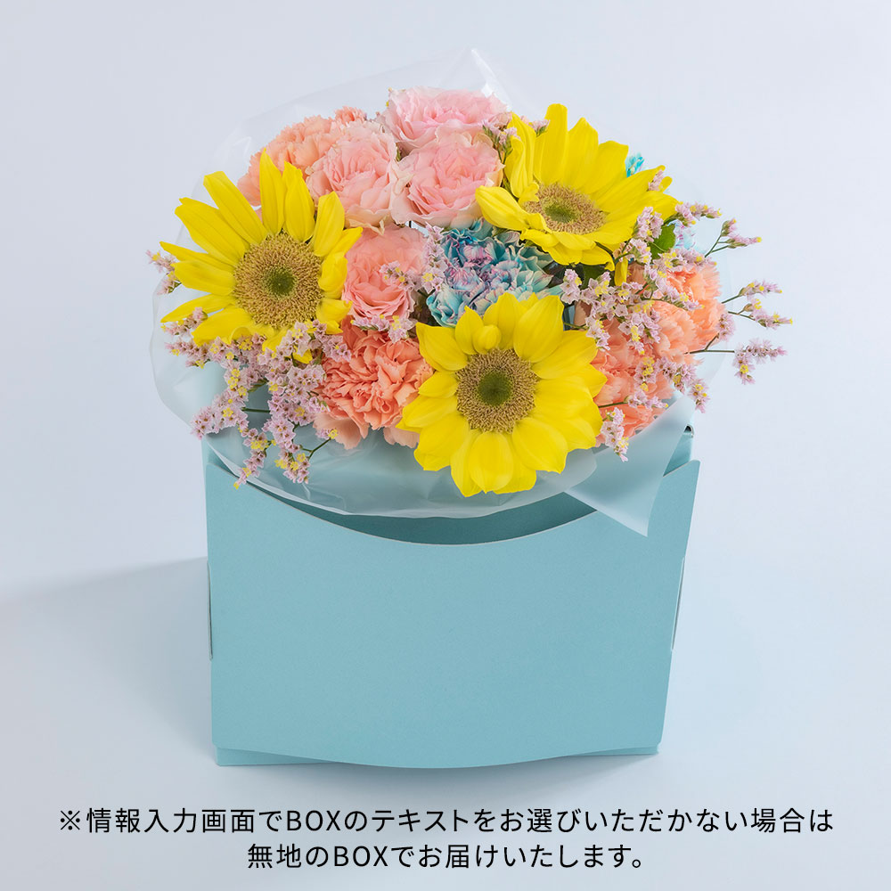 【季節限定】パピエベース「夏・M」