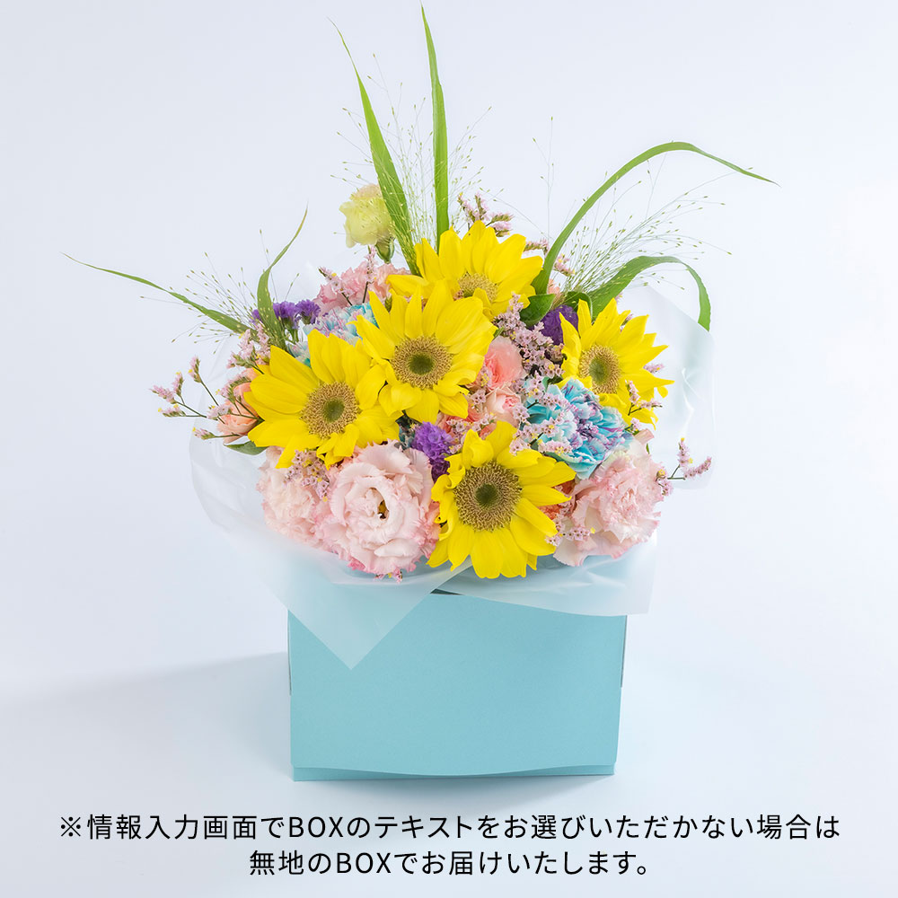 【季節限定】パピエベース「夏・L」