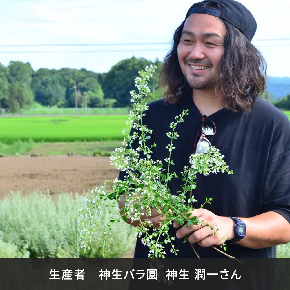 産地厳選「神生（かのう）バラ園」のそのまま飾れるブーケ（赤・ピンク系）