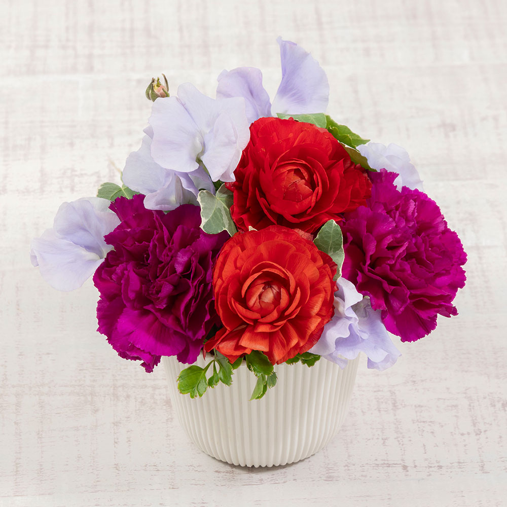 サダハル・アオキ「AOKI2026」とアレンジメントのセット