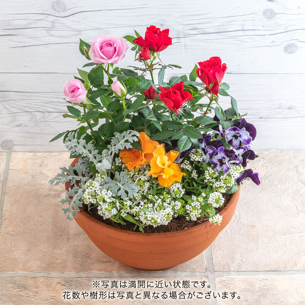 季節の寄せ植え 「スプリングナチュラルガーデン」