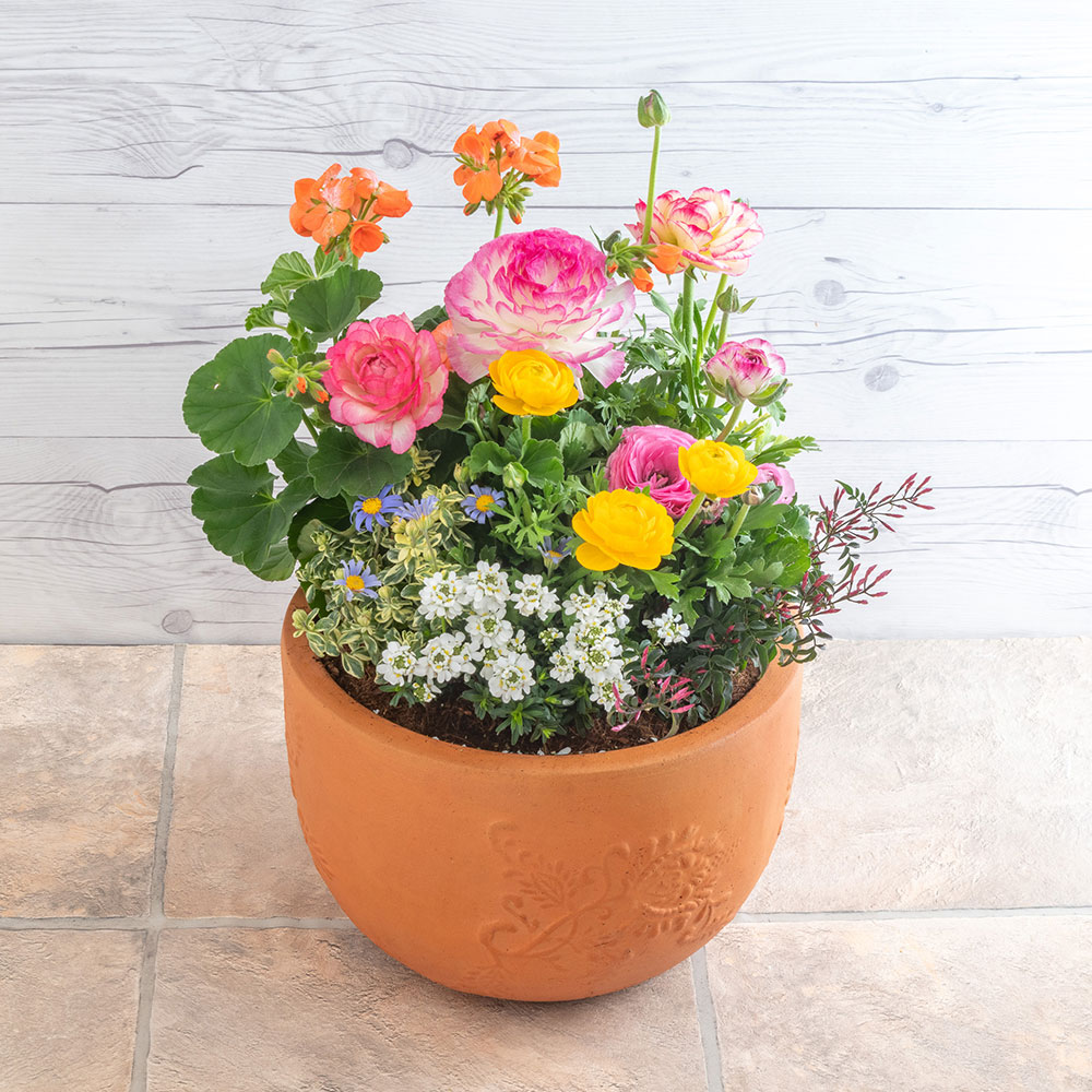 季節の寄せ植え 「ナチュラルガーデングランデ」