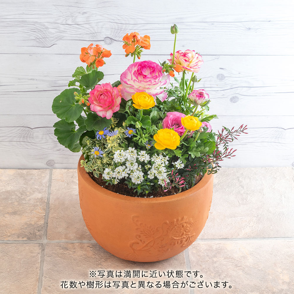 季節の寄せ植え 「ナチュラルガーデングランデ」