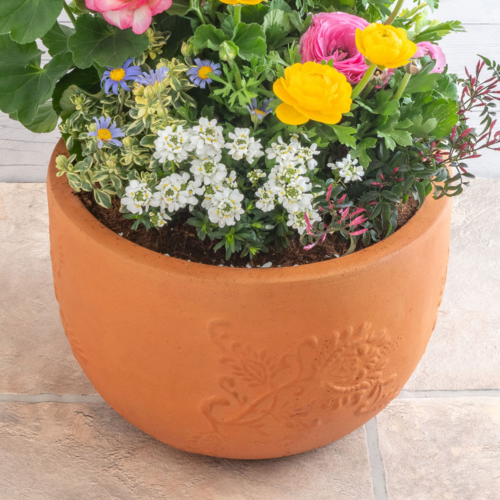 季節の寄せ植え 「ナチュラルガーデングランデ」