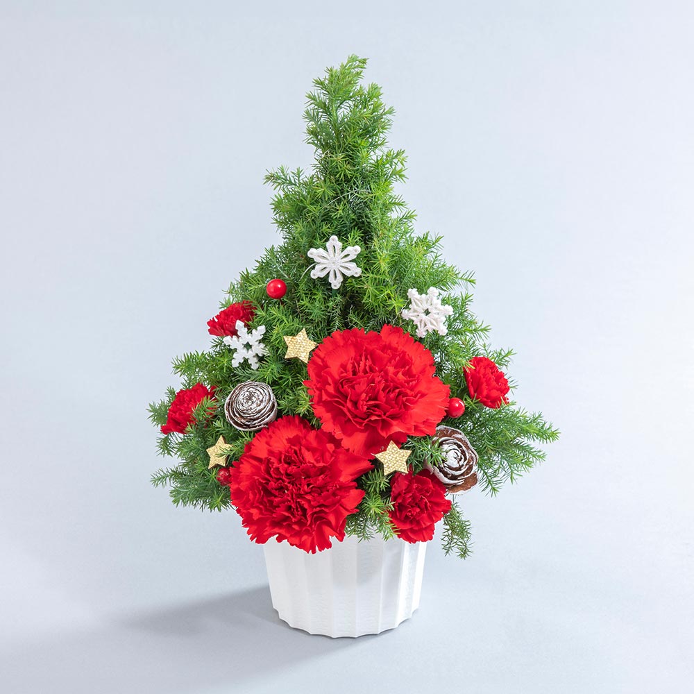 クリスマス アレンジメント「サパンドノエル」