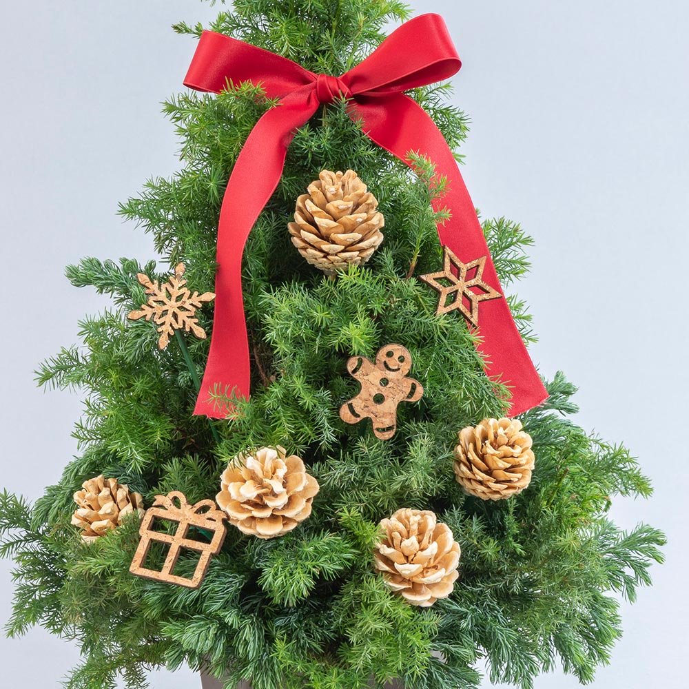 クリスマス フレッシュツリー「ノエル」