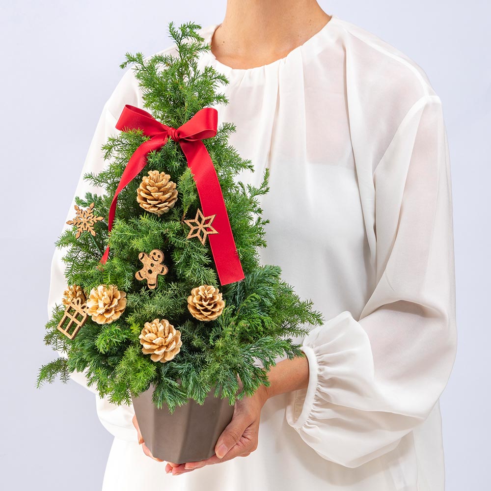 クリスマス フレッシュツリー「ノエル」