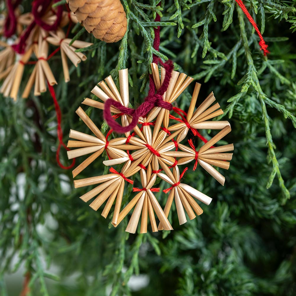 クリスマス フレッシュスワッグ「グローブ」