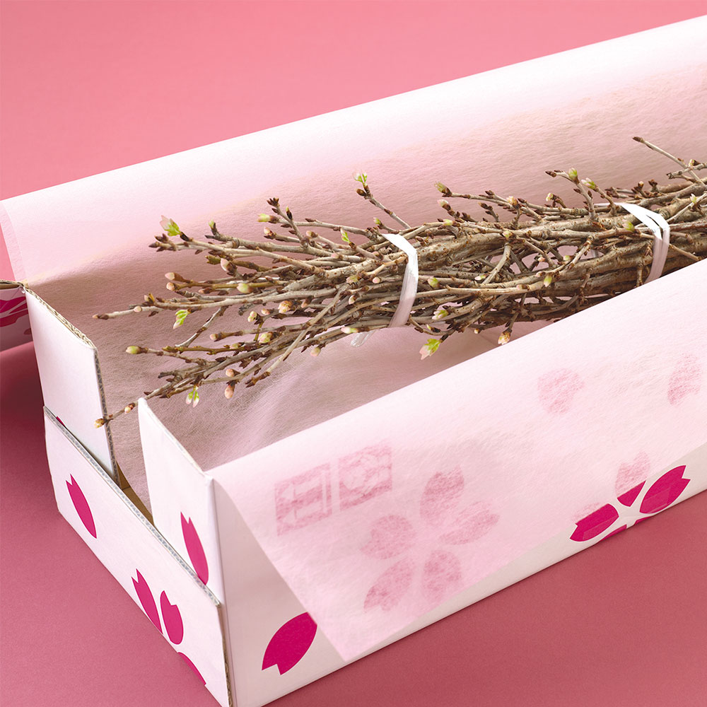 お正月 ボックスフラワー「啓翁桜」
