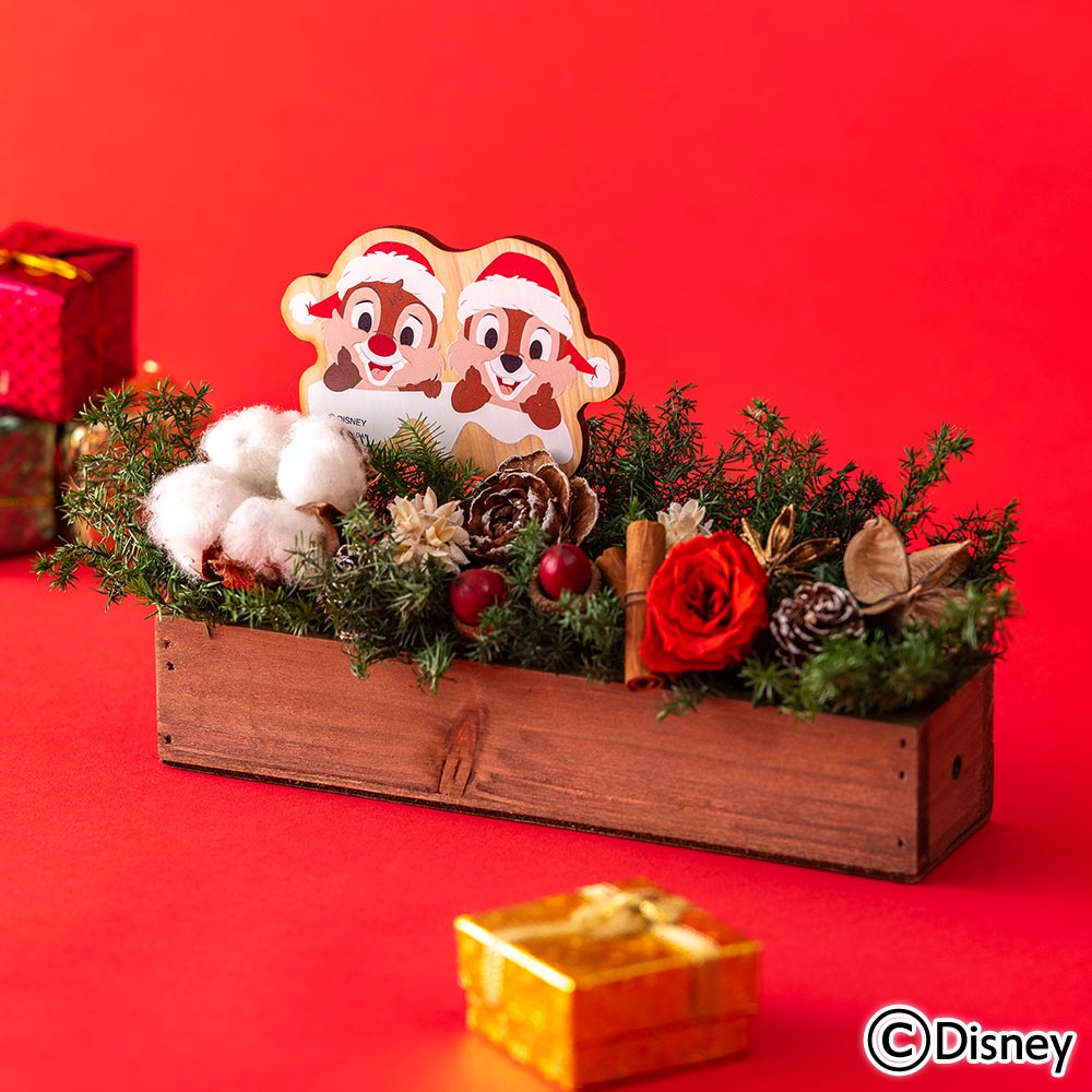 クリスマス ディズニー プリザーブド＆ドライフラワーアレンジメント「ハッピーホリデー（チップ＆デール）」