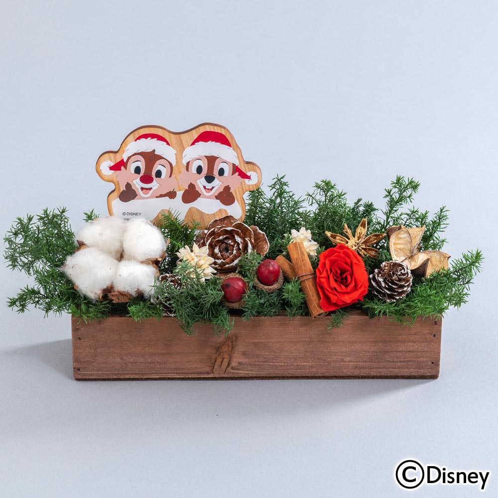 クリスマス ディズニー プリザーブド＆ドライフラワーアレンジメント「ハッピーホリデー（チップ＆デール）」