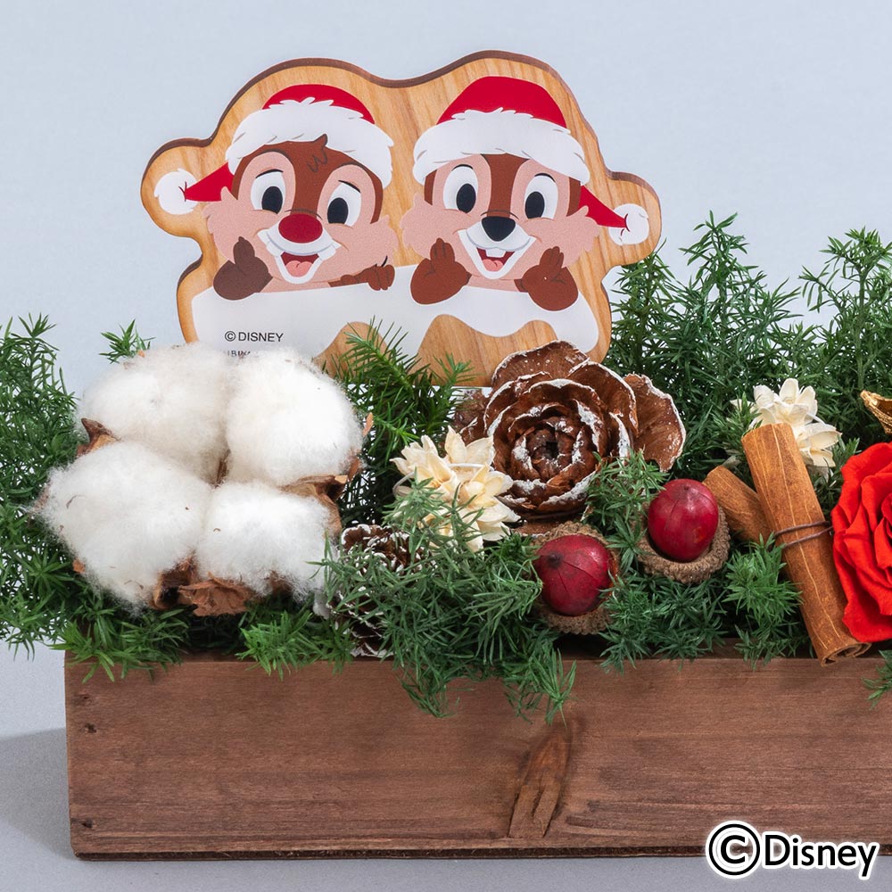 クリスマス ディズニー プリザーブド＆ドライフラワーアレンジメント「ハッピーホリデー（チップ＆デール）」