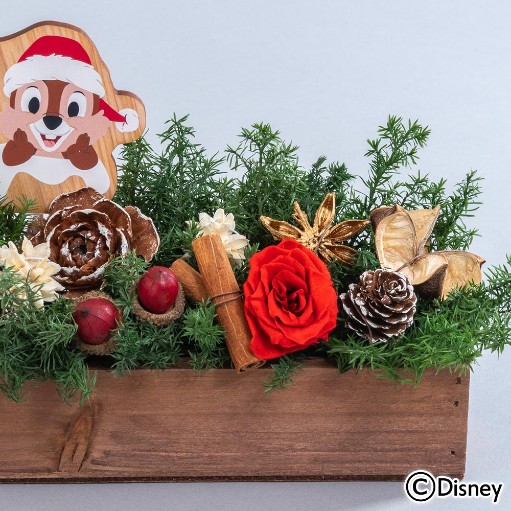 クリスマス ディズニー プリザーブド＆ドライフラワーアレンジメント「ハッピーホリデー（チップ＆デール）」