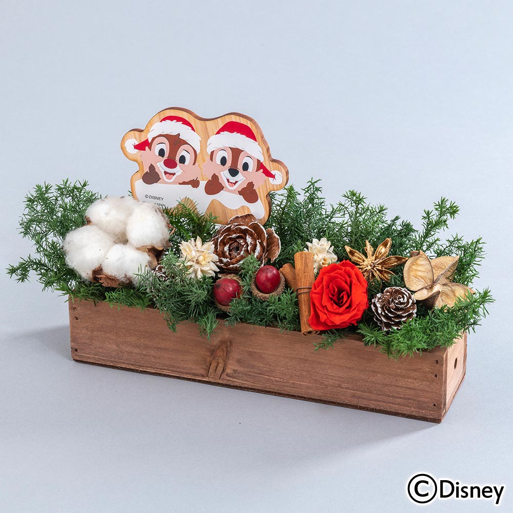 クリスマス ディズニー プリザーブド＆ドライフラワーアレンジメント「ハッピーホリデー（チップ＆デール）」