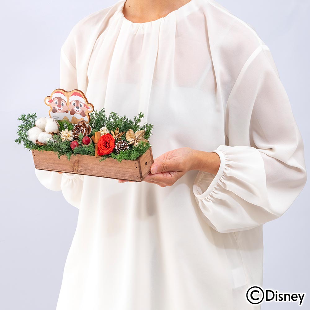 クリスマス ディズニー プリザーブド＆ドライフラワーアレンジメント「ハッピーホリデー（チップ＆デール）」