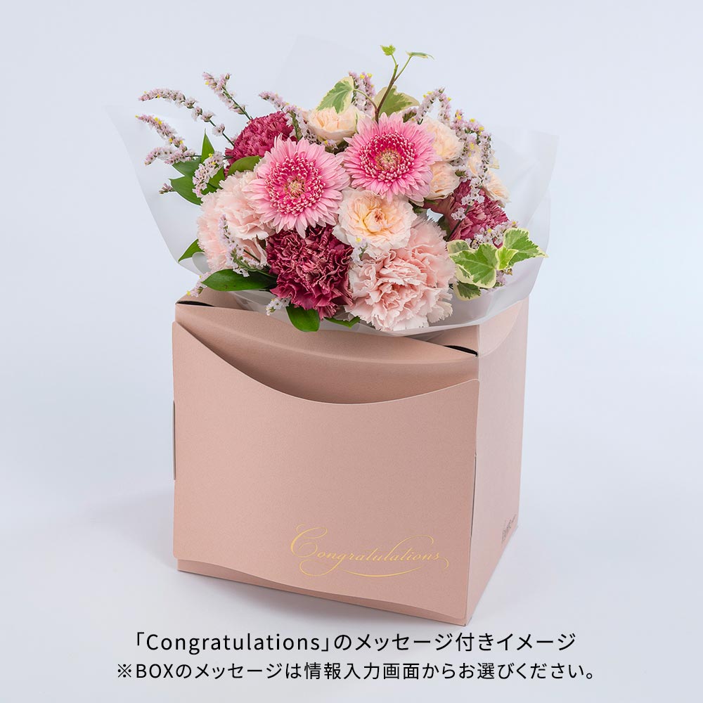 パピエベース「ピンク・M」