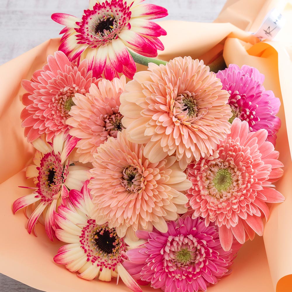 産地厳選「トキヤガーベラ（TOKIYA GERBERA）」のブーケ（ピンク系）