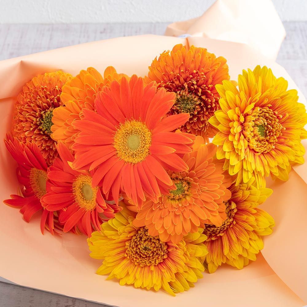 産地厳選「トキヤガーベラ（TOKIYA GERBERA）」のブーケ（黄色・オレンジ系）