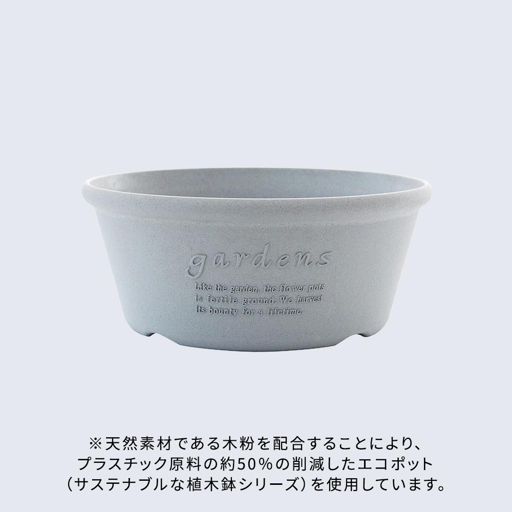 セントラルローズ「ミニバラ（レッド）コンテナガーデン」
