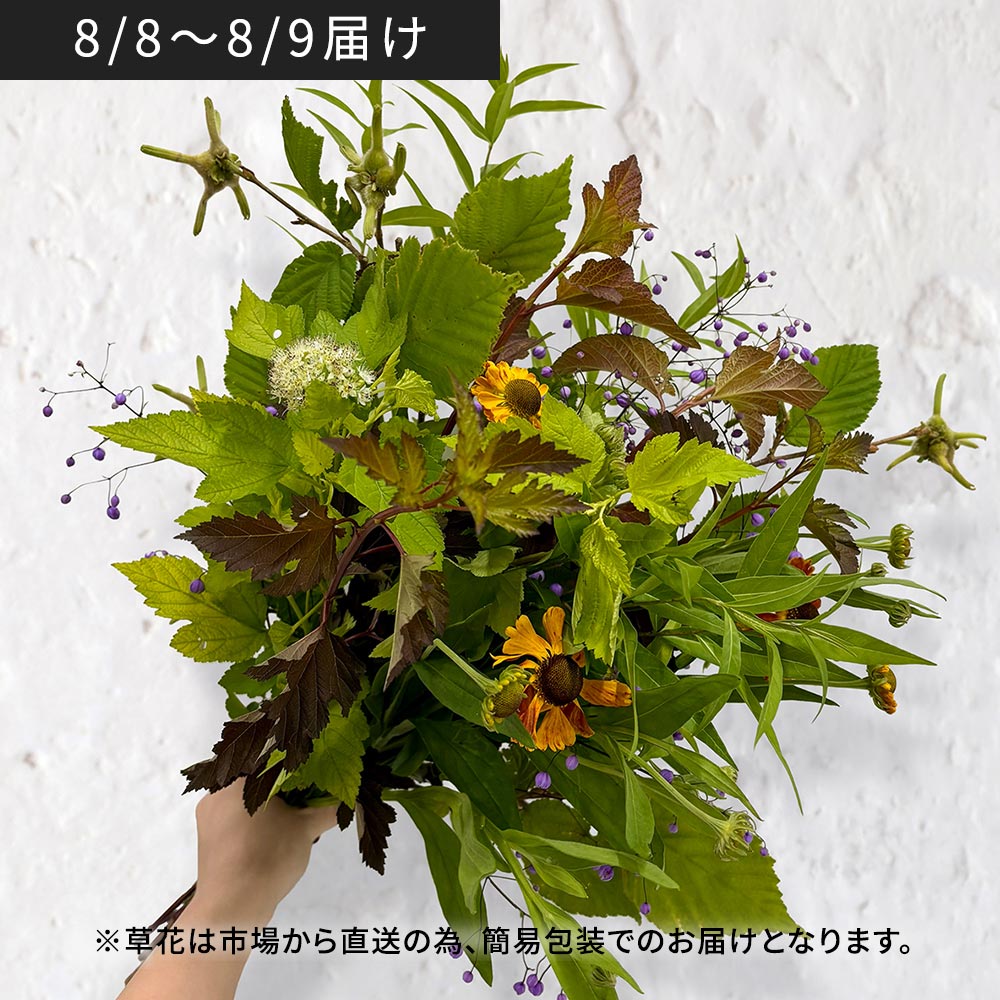 【8月8日~9日お届け】信州・高原の草花の贈り物