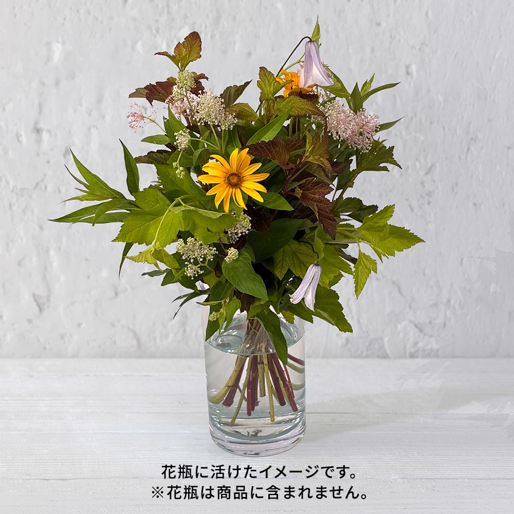 【8月22日~23日お届け】信州・高原の草花の贈り物