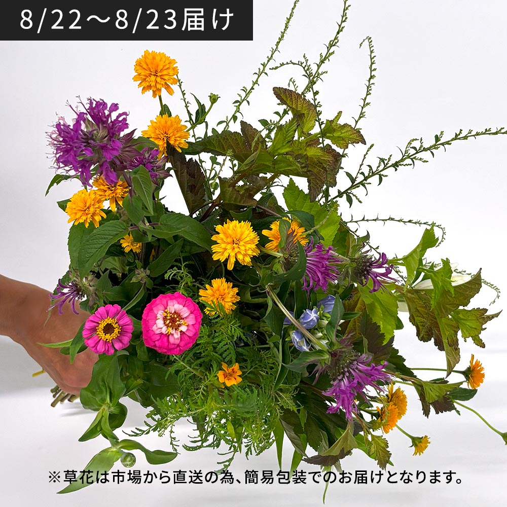 【8月22日~23日お届け】信州・高原の草花の贈り物