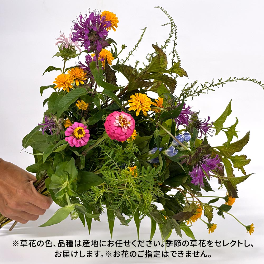 【8月22日~23日お届け】信州・高原の草花の贈り物