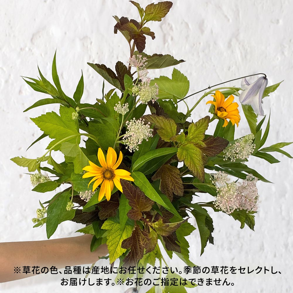 【8月22日~23日お届け】信州・高原の草花の贈り物