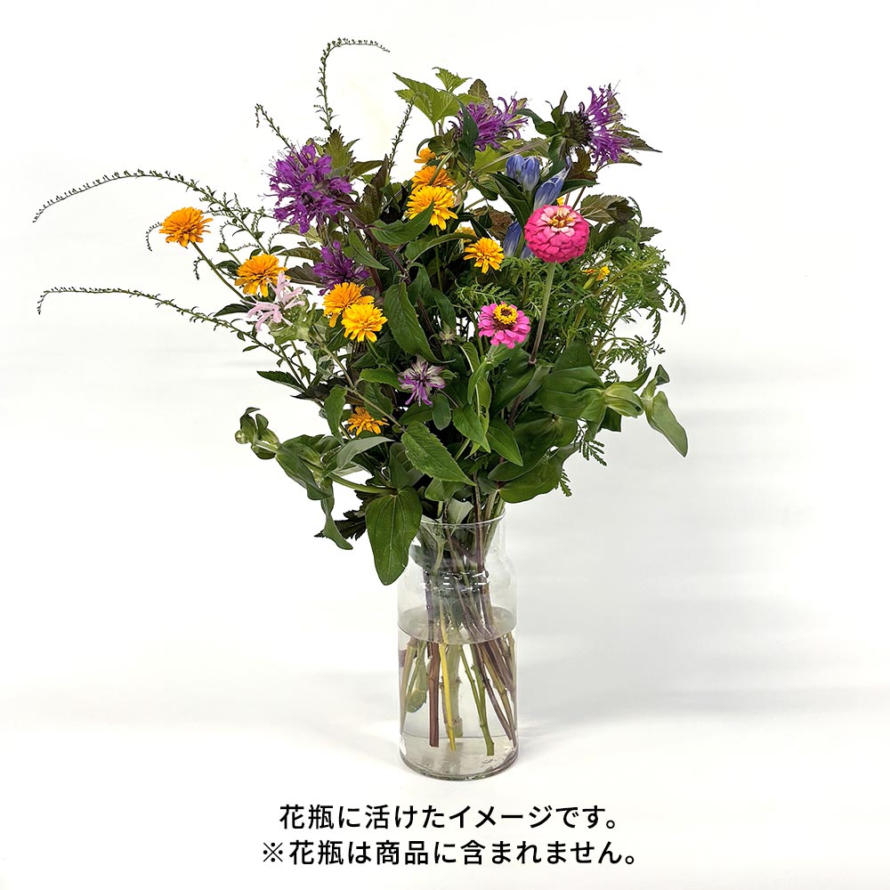 【8月22日~23日お届け】信州・高原の草花の贈り物